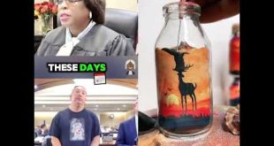 #judge #court #youtube