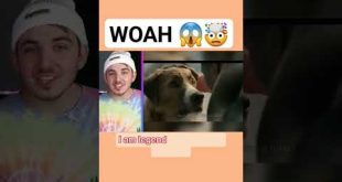 OMG! #blowthisupforme #youtubeshorts #shortvideos #subscribe #youtube #viral #trending #short