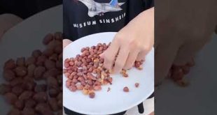 ถั่วคั่วหรือกาแฟสด #youtube #พ่อบ้านใจกล้า #แกล้งเมีย