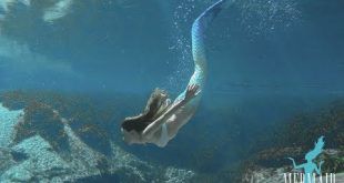 Mermaid of Hilton Head® YouTube Channel