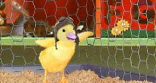 Save the Unicorn/Save the Penguin!