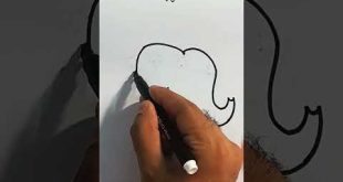 Baby elephant drawing (very easy) #shorts #youtube #newvideo #youtubeislife Canvassing Passion