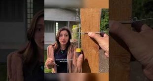 #shorts #youtubeshorts #trending #funny #viralvideo #youtube #fyp