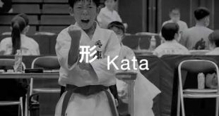 『公式』World Shitoryu Karate-do Federation Official YouTube Channel Start!