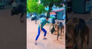 song #shorts #ytshorts #youtubeshorts #youtube