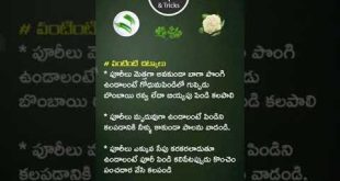 kitchen tips #shorts #youtube