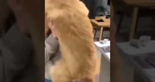 Reel On YouTube #shorts #instagramreel #short #reel #instagram #viral #vide