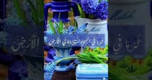 Quran ayat | ayat ul kursi | #youtube #ytshorts #youtubeshorts #quran