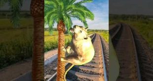 Heart Touching Islamic Video #shorts #youtube #allah #islamgod #amazing #vfx #rahatvfx