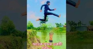 অবাক করার মতো 😱 #flip #youtubeshorts #flipstunt #youtube #shorts #stunt #antustunt