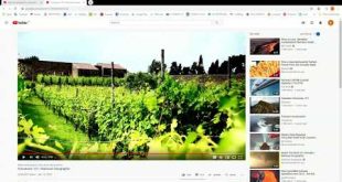 Αυτόματη μετάφραση υπότιτλων στο YouTube