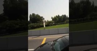 HABIBI COME TO DUBAI 2023#dubai #youtubeshort #dubailife #likeforlikes #dubaicity #youtube #views